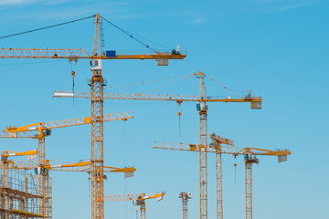 many cranes on building site - construction cranes on blue sky  -