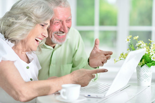 portrait of a happy senior couple using laptop