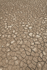 Bolivian Salt Flats Texture 