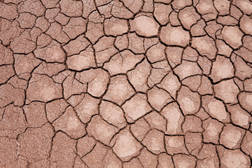 Mongolian Mud Flates Texture 