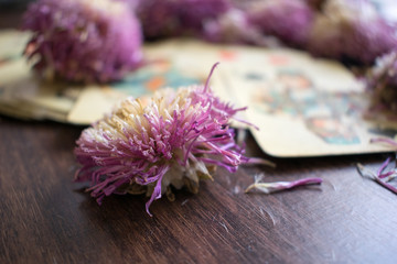 Photo of tarot card.