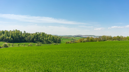 Grüne Naturlandschaft im Harz