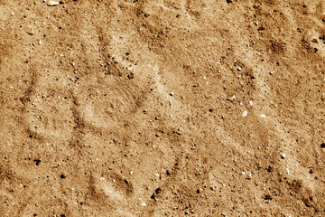 Sand texture background in orange tone.