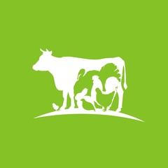 Домашние животные