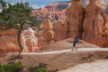 Hiker visits Bryce canyon National park in Utah, USA