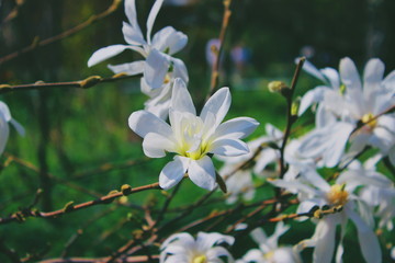Processed with VSCO with a7 preset