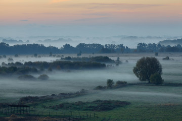 fog before dawn