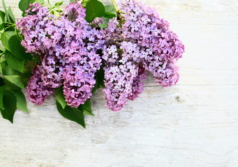 bouquets de lilas mauve sur fond bois