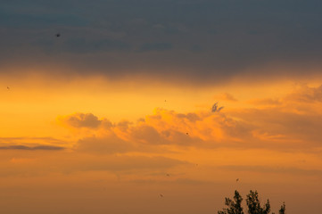 Landscape with dramatic light - beautiful golden sunset with saturated sky and clouds.