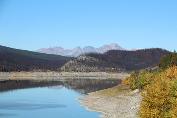 Calm Medicine Lake, Jasper National Park, Alberta