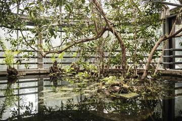 Botanical Garden in Naples is an historical site where are custotited many species of plants that come from every part of world . This is a very beautiful big garden of "Borbonic " origin.
