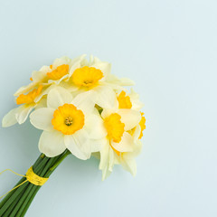 Spring flowers daffodil bouquet - top view of white narcissus on blue pastel background with copy space.