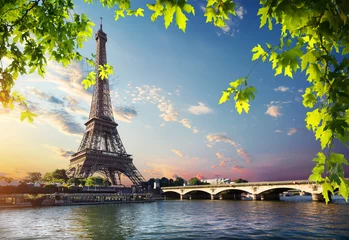 Fotobehang Eiffel Tower and bridge © Givaga