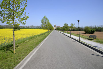 Viale in campagna