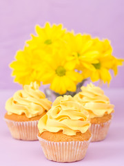 Cupcakes decorated with yellow cream and chrysanthemums on violet pastel background.