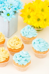 Yellow and blue chrysanthemum in retro shabby chic vase with cupcakes decorated with cream on pastel background.