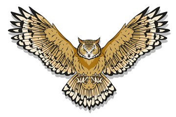 Owl logo. Wild birds drawing. Head of an owl. Vector graphics to design.