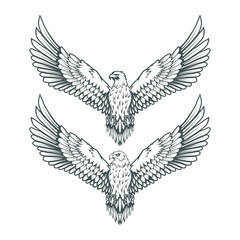 Obraz premium set of eagles. Bald eagle logo. Wild birds drawing. Head of an eagle. Vector graphics to design.