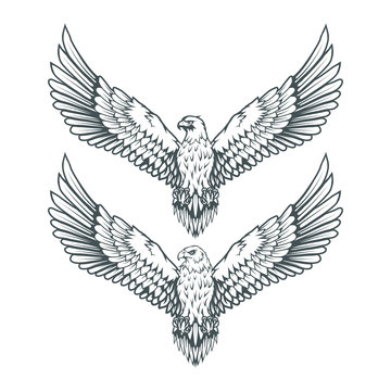 set of eagles. Bald eagle logo. Wild birds drawing. Head of an eagle. Vector graphics to design.