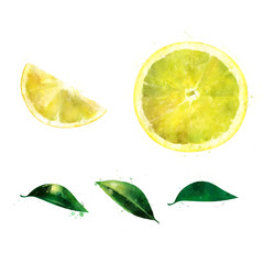 Lemon on white background. Watercolor illustration