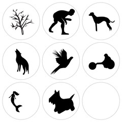 Set Of 9 simple editable icons such as scottie dog, mermaid, wheelchair racing