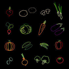 Set of vegetable icons. Beetroot, potato, mushrooms, spring onions, radish, cabbage, carrot, eggplant, pumpkin, cucumber, peas, bell pepper, olives, onion, broccoli and tomato. Vector Illustration