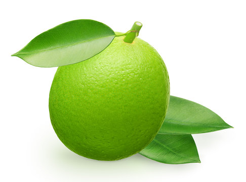 Whole fresh lime fruit and green leaves isolated on white