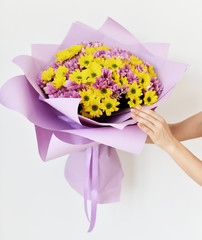 Beautiful woman hands hold bouquet of chrysanthemum flowers yellow and purple on white 