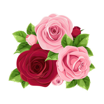 Vector pink and burgundy roses isolated on a white background.