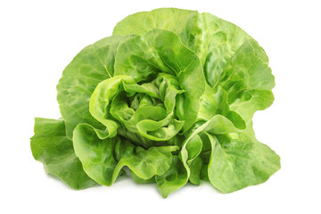 Kopfsalat Gemüse ist frisch und isoliert bei Nahaufnahme