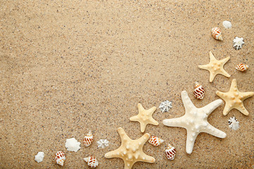 Fototapeta na wymiar Seashells and starfishes on beach sand