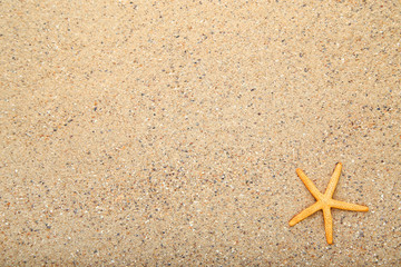Fototapeta na wymiar Starfish on beach sand