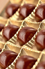 Close-up of cherry chocolate in box of chocolates with a creamy filling liquor vertical photo