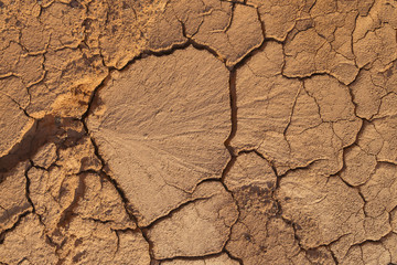 Cracked dry red soil in Eastern Kazakhstan
