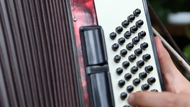 the accordion playing man