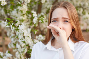 Outdoor shot of sad stressed beautiful young female rubs nose as has allergy to blossom, wears elegant white shirt, poses against blooming tree background. Cute girl sneezes beacause of allergy