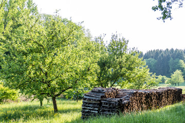 Brennholz abfuhrbereit © focus finder