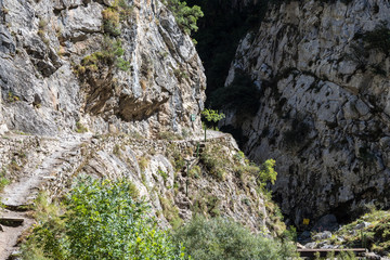 Spanien - Kantabrien - Picos de Europa - Garganta del Cares