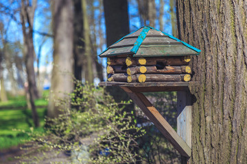 Nesting box in the woods