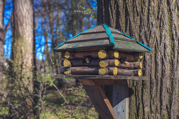 Nesting box in the woods
