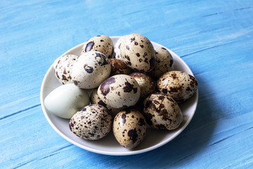 Obraz premium fresh quail eggs