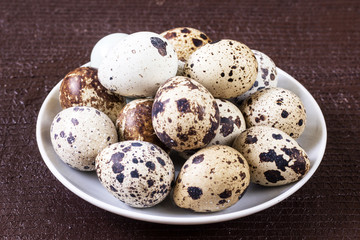 Obraz premium fresh quail eggs