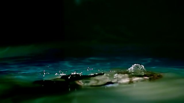 A young informal woman has dreadlocks on her head, she and her husband are submerged under water