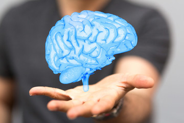 brain