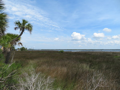 Die weite K&uuml;ste im Nordwesten Floridas