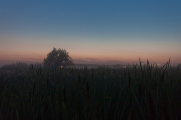 Fototapeta na wymiar Foggy night summer field