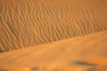 Sand dunes in Thar Desert during the sunset, Rajasthan, India.