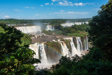 Fototapeta premium Iguazu Falls