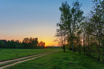 Road in sunset field