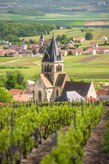 Ancient stone church with tower in vineyard field in Champagne region, France - 203850884